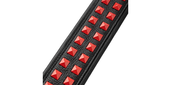 LEVY'S ( レヴィース )  / M81GRPDX-BLK画像3