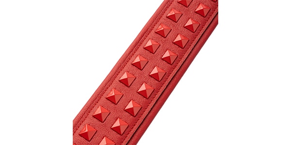 LEVY'S ( レヴィース )  / M81GRPDX-RED画像3