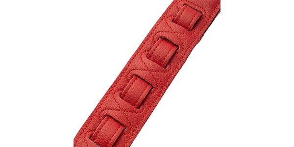 LEVY'S ( レヴィース )  / M81GRPDX-RED画像4