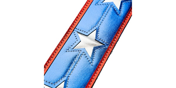 LEVY&#39;S ( レヴィース )  / MJH317-001画像2