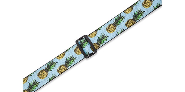 LEVY'S ( レヴィース )  / MP2FS-001画像4