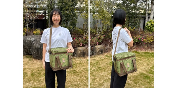 LOGOS / ポケモン 氷点下パック抗菌・デザインクーラーM画像10