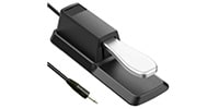 Loog / Sustain Pedal