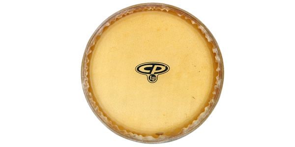Latin Percussion Rawhide Conga Head - 12-1/2 inch - Tumba