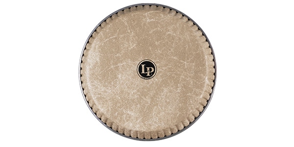 LP / LP265BP　コンガヘッド