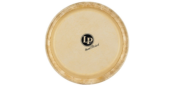 LP / LP266A　コンガヘッド