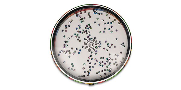 LP ( ラテンパーカッション )  / LP7020画像4