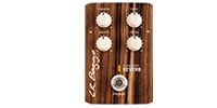 L.R.BAGGS Align Series Reverb