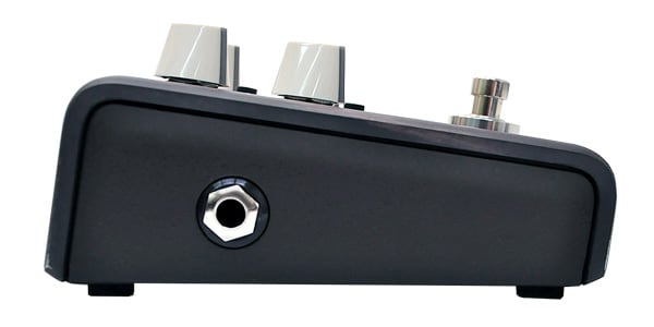 L.R.Baggs / Align Series Delay画像4