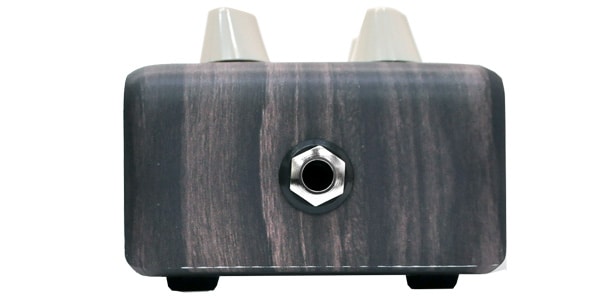 L.R.Baggs / Align Series Delay画像5