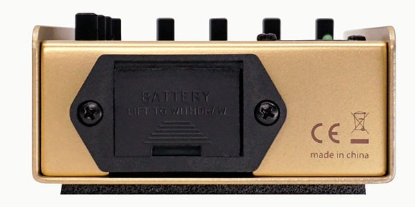 L.R.Baggs / Gold Para D..I. 50th画像4