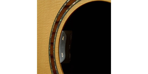L.R.Baggs / HiFi DUET 画像4