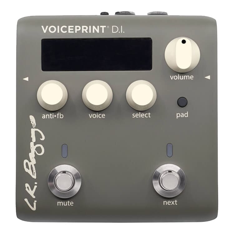 L.R.BAGGS/Voiceprint DI