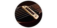 L.R.BAGGS M80 Soundhole Pickup