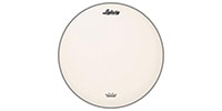 LUDWIG / LW114RAC 14 HEAD COATED AMBASSADOR