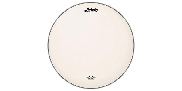 LUDWIG ( ラディック )  / LW114RAC 14 HEAD COATED AMBASSADOR