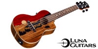 LUNA GUITARS / Uke Vista Bear Concert w/Preamp & Gigbag