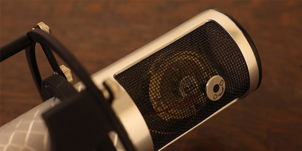 MANLEY ( マンレイ )  / REFERENCE SILVER MICROPHONE画像3