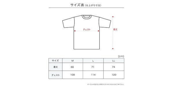 満足 ( マンゾク )  / 出雲ソフト 無地 半袖Tシャツ 消臭機能 LL メランジグレー画像2