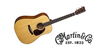 MARTIN D-18E Retro