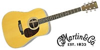 MARTIN / D-35
