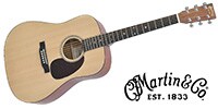 MARTIN D-16GT