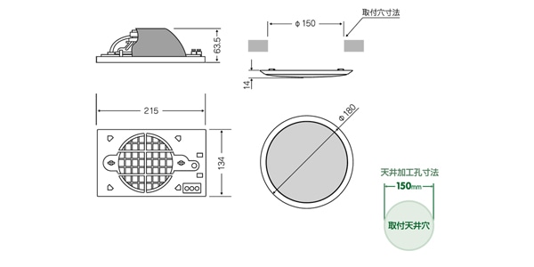 MASSIVE / CL-120RN(B)画像2
