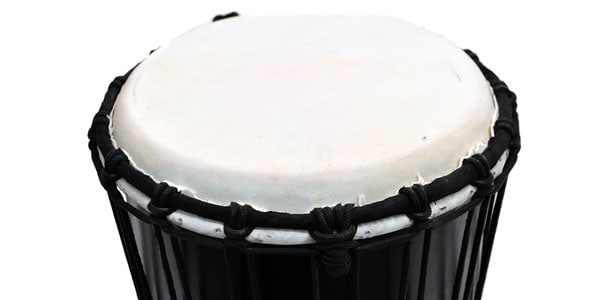 MEINL / HDJ1-S画像2