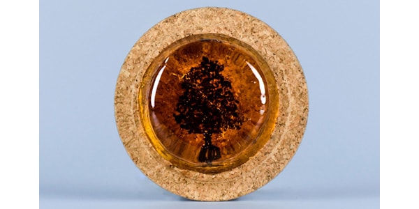 Melos ( メロス )  / 松脂 バイオリン用 ライト ミニ画像2