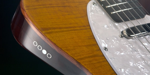 Michael Kelly Guitars ( マイケルケリーギターズ )  / Enlightened Classic 50 Amber画像3