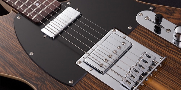 Michael Kelly Guitars ( マイケルケリーギターズ )  / 1955 Custom Collection Striped Ebony画像2