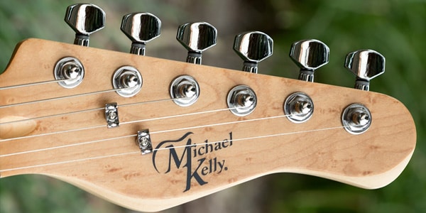 Michael Kelly Guitars ( マイケルケリーギターズ )  / 1955 Custom Collection Striped Ebony画像3