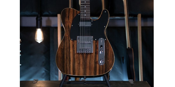 Michael Kelly Guitars ( マイケルケリーギターズ )  / 1955 Custom Collection Striped Ebony画像4