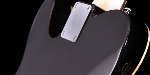 Michael Kelly Guitars ( マイケルケリーギターズ )  / 1955 Custom Collection Striped Ebony画像5