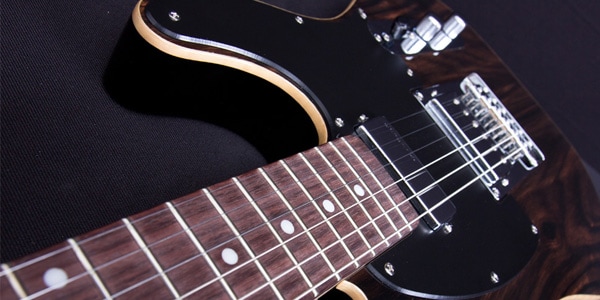 Michael Kelly Guitars ( マイケルケリーギターズ )  / 1955 Custom Collection Striped Ebony画像6