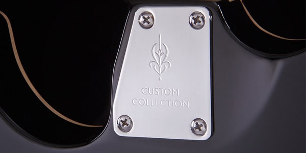 Michael Kelly Guitars / Custom Collection 1965 Striped Ebony画像8