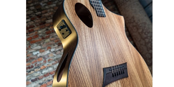 Michael Kelly Guitars ( マイケルケリーギターズ )  / Forte Port Exotic Zebra画像4