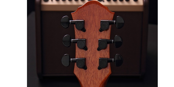 Michael Kelly Guitars ( マイケルケリーギターズ )  / Forte Port X Partial Eclipse画像7