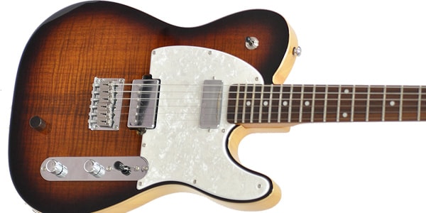 Michael Kelly Guitars ( マイケルケリーギターズ ) Hybrid 55 Michael Kelly Guitars ( マイケルケリーギターズ ) Hybrid 55