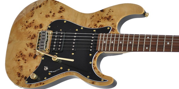 Michael Kelly Guitars ( マイケルケリーギターズ )  / Custom Collection 60 Natural Burl画像2