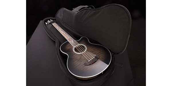 Michael Kelly Guitars / MKGBAB画像4