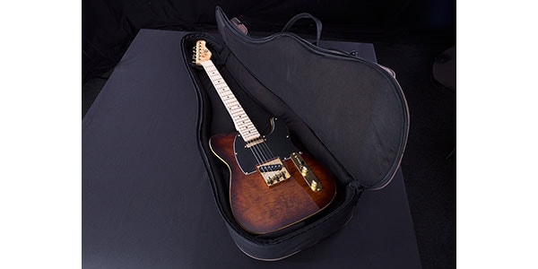 Michael Kelly Guitars / MKGBEG画像4