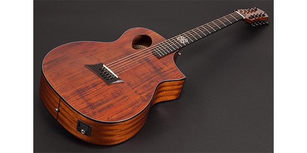 Michael Kelly Guitars / Forte Port Koa 10 Gloss Koa画像2