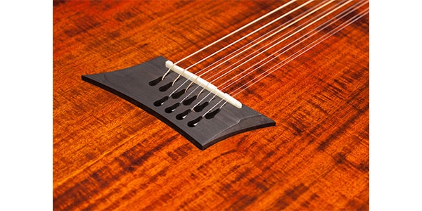 Michael Kelly Guitars / Forte Port Koa 10 Gloss Koa画像4