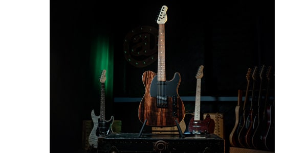 Michael Kelly Guitars ( マイケルケリーギターズ ) Custom Michael Kelly Guitars ( マイケルケリーギターズ ) Custom