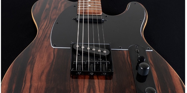 Michael Kelly Guitars ( マイケルケリーギターズ )  / Custom Collection 50 Striped Ebony画像2