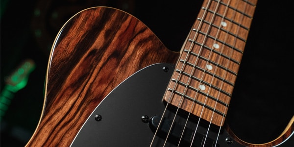 Michael Kelly Guitars ( マイケルケリーギターズ )  / Custom Collection 50 Striped Ebony画像3