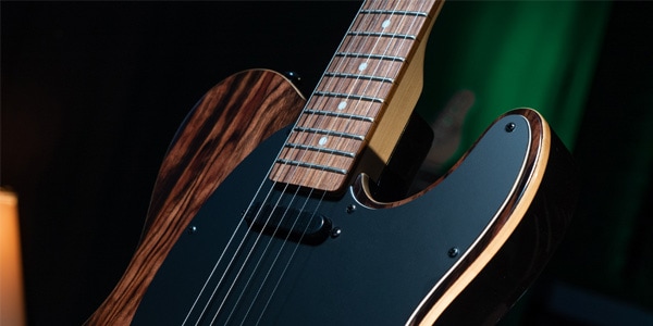 Michael Kelly Guitars ( マイケルケリーギターズ )  / Custom Collection 50 Striped Ebony画像5
