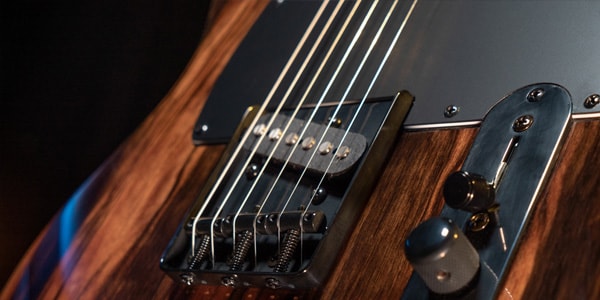 Michael Kelly Guitars ( マイケルケリーギターズ ) Custom Michael Kelly Guitars ( マイケルケリーギターズ ) Custom