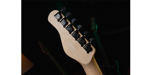 Michael Kelly Guitars ( マイケルケリーギターズ )  / Custom Collection 50 Striped Ebony画像9